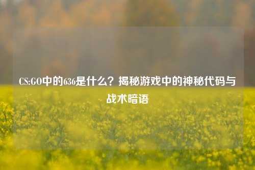 CS:GO中的636是什么？揭秘游戏中的神秘代码与战术暗语