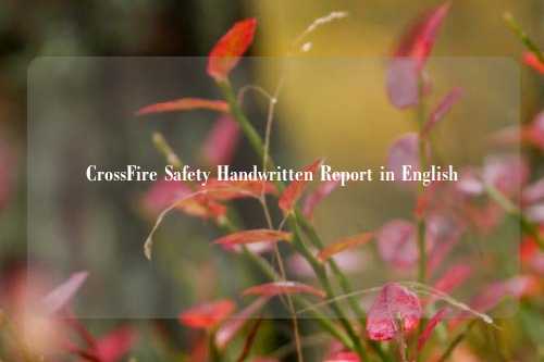 CrossFire Safety Handwritten Report in English