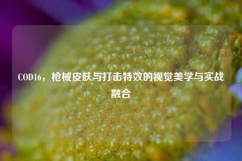 COD16，枪械皮肤与打击特效的视觉美学与实战融合