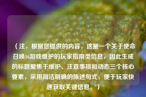 （注，根据您提供的内容，这是一个关于使命召唤16游戏维护的玩家指南类信息，因此生成的标题聚焦于维护、注意事项和动态三个核心要素，采用简洁明确的陈述句式，便于玩家快速获取关键信息。）