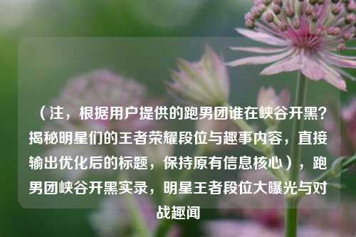 （注，根据用户提供的跑男团谁在峡谷开黑？揭秘明星们的王者荣耀段位与趣事内容，直接输出优化后的标题，保持原有信息核心），跑男团峡谷开黑实录，明星王者段位大曝光与对战趣闻