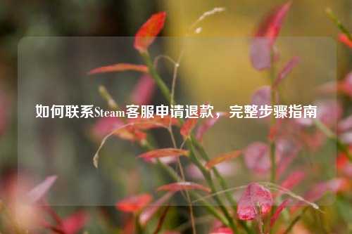 如何联系Steam客服申请退款，完整步骤指南