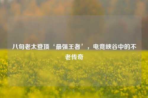 八旬老太登顶‘最强王者’，电竞峡谷中的不老传奇