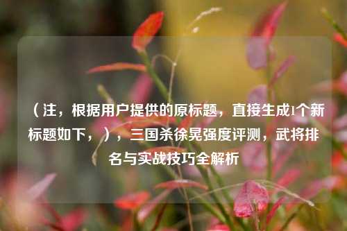 （注，根据用户提供的原标题，直接生成1个新标题如下，），三国杀徐晃强度评测，武将排名与实战技巧全解析
