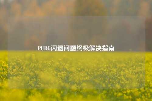 PUBG闪退问题终极解决指南