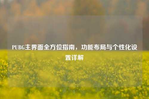PUBG主界面全方位指南，功能布局与个性化设置详解