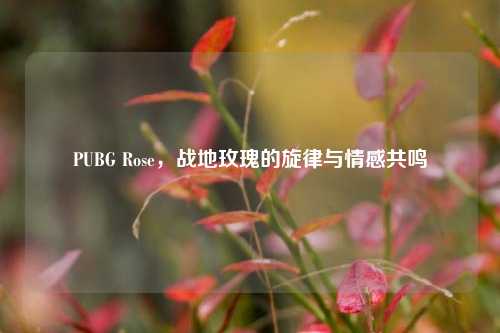 PUBG Rose，战地玫瑰的旋律与情感共鸣