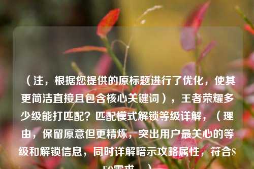 （注，根据您提供的原标题进行了优化，使其更简洁直接且包含核心关键词），王者荣耀多少级能打匹配？匹配模式解锁等级详解，（理由，保留原意但更精炼，突出用户最关心的等级和解锁信息，同时详解暗示攻略属性，符合SEO需求。）