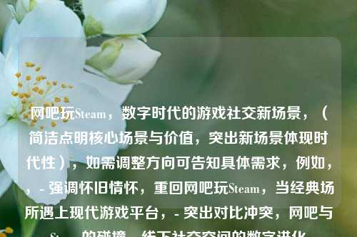 网吧玩Steam，数字时代的游戏社交新场景，（简洁点明核心场景与价值，突出新场景体现时代性），如需调整方向可告知具体需求，例如，，- 强调怀旧情怀，重回网吧玩Steam，当经典场所遇上现代游戏平台，- 突出对比冲突，网吧与Steam的碰撞，线下社交空间的数字进化