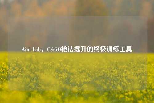 Aim Lab，CS:GO枪法提升的终极训练工具