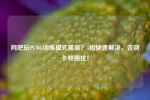 网吧玩PUBG训练模式黑屏？3招快速解决，告别卡顿困扰！