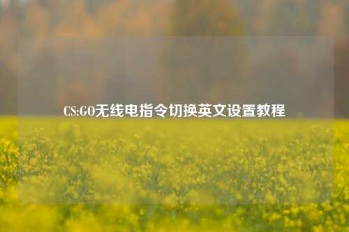 CS:GO无线电指令切换英文设置教程