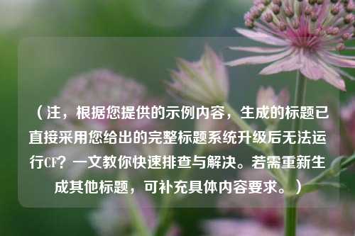 （注，根据您提供的示例内容，生成的标题已直接采用您给出的完整标题系统升级后无法运行CF？一文教你快速排查与解决。若需重新生成其他标题，可补充具体内容要求。）