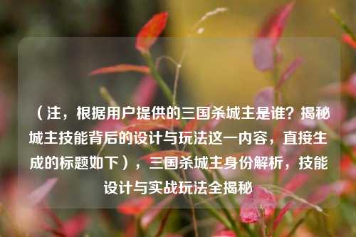 （注，根据用户提供的三国杀城主是谁？揭秘城主技能背后的设计与玩法这一内容，直接生成的标题如下），三国杀城主身份解析，技能设计与实战玩法全揭秘