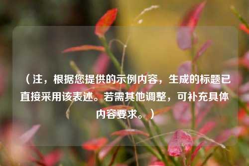 （注，根据您提供的示例内容，生成的标题已直接采用该表述。若需其他调整，可补充具体内容要求。）