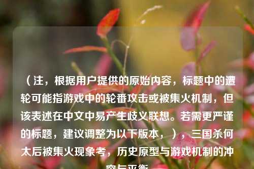 （注，根据用户提供的原始内容，标题中的遭轮可能指游戏中的轮番攻击或被集火机制，但该表述在中文中易产生歧义联想。若需更严谨的标题，建议调整为以下版本，），三国杀何太后被集火现象考，历史原型与游戏机制的冲突与平衡