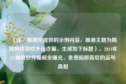 （注，根据您提供的示例内容，推测主题为揭露网络游戏外挂诈骗，生成如下标题），2014年CF刷枪软件骗局全曝光，免费陷阱背后的盗号真相