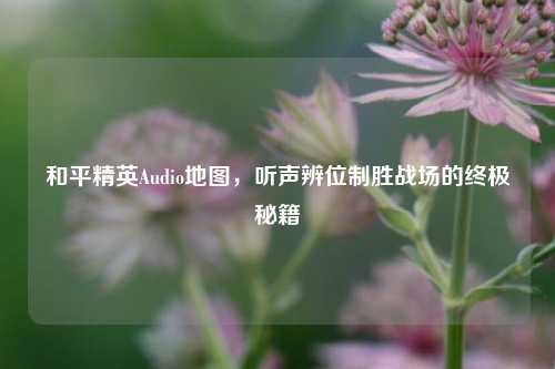 和平精英Audio地图，听声辨位制胜战场的终极秘籍