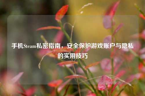 手机Steam私密指南，安全保护游戏账户与隐私的实用技巧