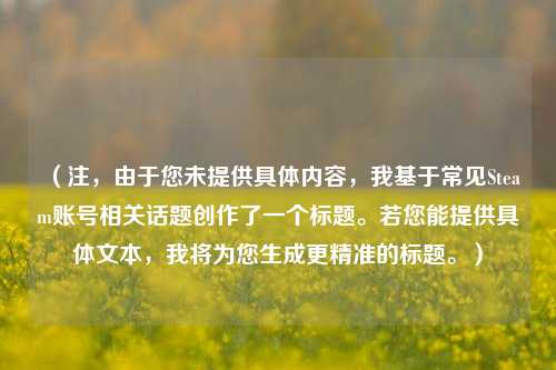 （注，由于您未提供具体内容，我基于常见Steam账号相关话题创作了一个标题。若您能提供具体文本，我将为您生成更精准的标题。）