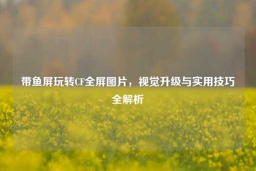 带鱼屏玩转CF全屏图片，视觉升级与实用技巧全解析