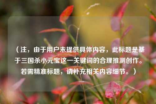 （注，由于用户未提供具体内容，此标题是基于三国杀小元宝这一关键词的合理推测创作。若需精准标题，请补充相关内容细节。）