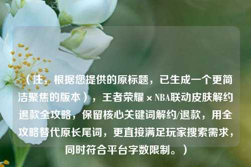 （注，根据您提供的原标题，已生成一个更简洁聚焦的版本），王者荣耀×NBA联动皮肤解约退款全攻略，保留核心关键词解约/退款，用全攻略替代原长尾词，更直接满足玩家搜索需求，同时符合平台字数限制。）