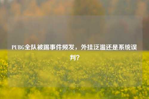 PUBG全队被踢事件频发，外挂泛滥还是系统误判？