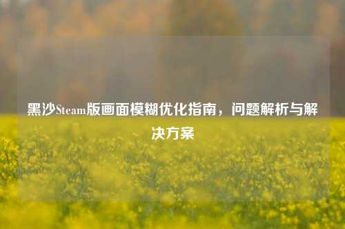 黑沙Steam版画面模糊优化指南，问题解析与解决方案