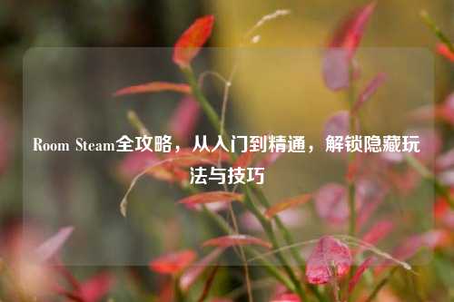 Room Steam全攻略，从入门到精通，解锁隐藏玩法与技巧