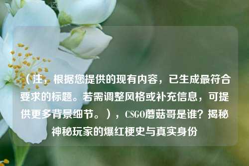 （注，根据您提供的现有内容，已生成最符合要求的标题。若需调整风格或补充信息，可提供更多背景细节。），CSGO蘑菇哥是谁？揭秘神秘玩家的爆红梗史与真实身份
