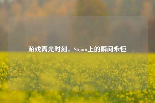 游戏高光时刻，Steam上的瞬间永恒