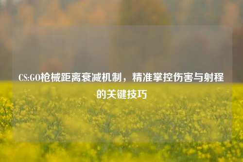 CS:GO枪械距离衰减机制，精准掌控伤害与射程的关键技巧