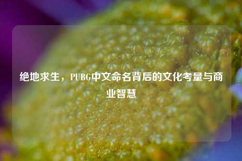绝地求生，PUBG中文命名背后的文化考量与商业智慧