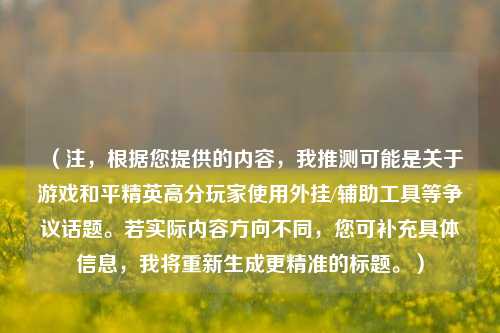 （注，根据您提供的内容，我推测可能是关于游戏和平精英高分玩家使用外挂/辅助工具等争议话题。若实际内容方向不同，您可补充具体信息，我将重新生成更精准的标题。）