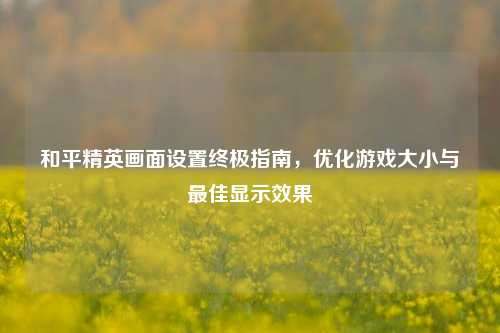 和平精英画面设置终极指南，优化游戏大小与最佳显示效果