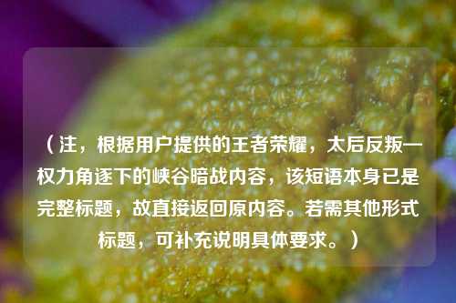 （注，根据用户提供的王者荣耀，太后反叛—权力角逐下的峡谷暗战内容，该短语本身已是完整标题，故直接返回原内容。若需其他形式标题，可补充说明具体要求。）