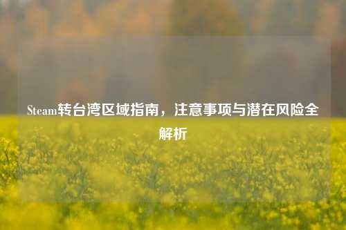 Steam转台湾区域指南，注意事项与潜在风险全解析