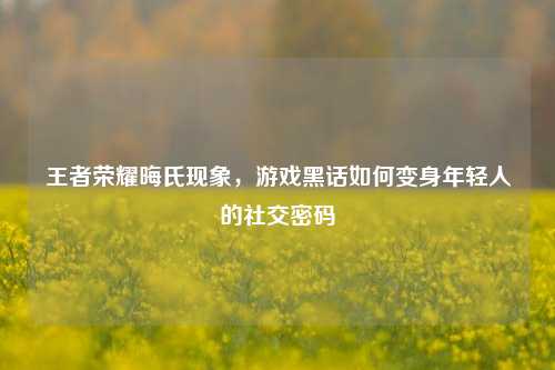 王者荣耀晦氏现象，游戏黑话如何变身年轻人的社交密码