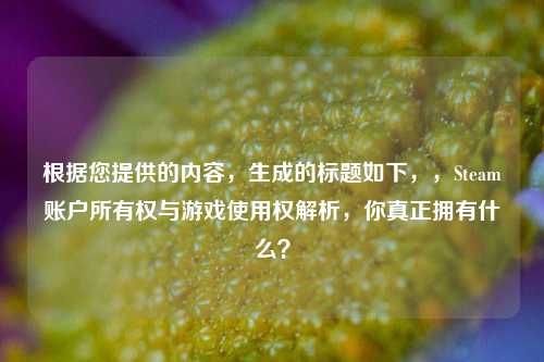 根据您提供的内容，生成的标题如下，，Steam账户所有权与游戏使用权解析，你真正拥有什么？