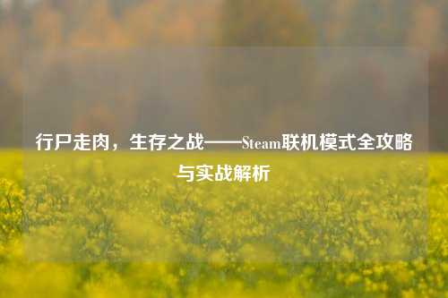 行尸走肉，生存之战——Steam联机模式全攻略与实战解析