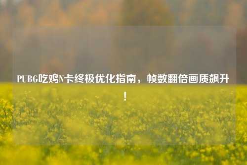 PUBG吃鸡N卡终极优化指南，帧数翻倍画质飙升！