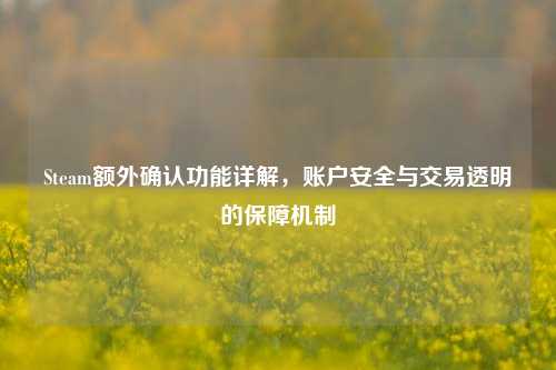 Steam额外确认功能详解，账户安全与交易透明的保障机制