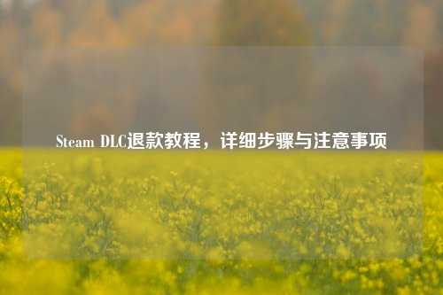 Steam DLC退款教程，详细步骤与注意事项