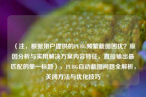 （注，根据用户提供的PUBG频繁截图困扰？原因分析与实用解决方案内容特征，直接输出最匹配的单一标题），PUBG自动截图问题全解析，关闭方法与优化技巧