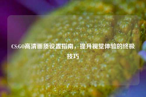 CS:GO高清画质设置指南，提升视觉体验的终极技巧