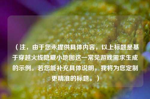 （注，由于您未提供具体内容，以上标题是基于穿越火线隐藏小地图这一常见游戏需求生成的示例。若您能补充具体说明，我将为您定制更精准的标题。）