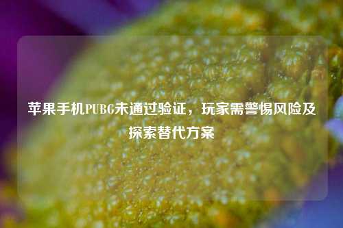 苹果手机PUBG未通过验证，玩家需警惕风险及探索替代方案