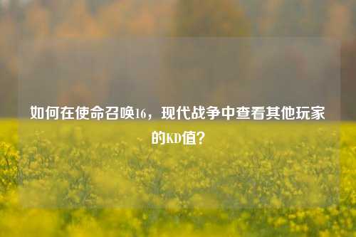 如何在使命召唤16，现代战争中查看其他玩家的KD值？