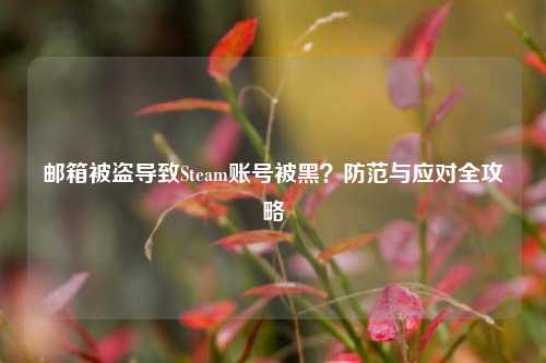 邮箱被盗导致Steam账号被黑？防范与应对全攻略